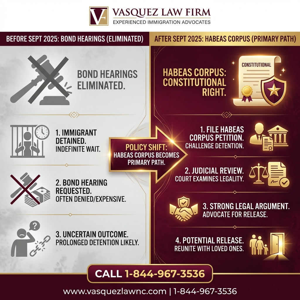 Key Statistics and Data for What Is Habeas Corpus and How It Protects You in 2026